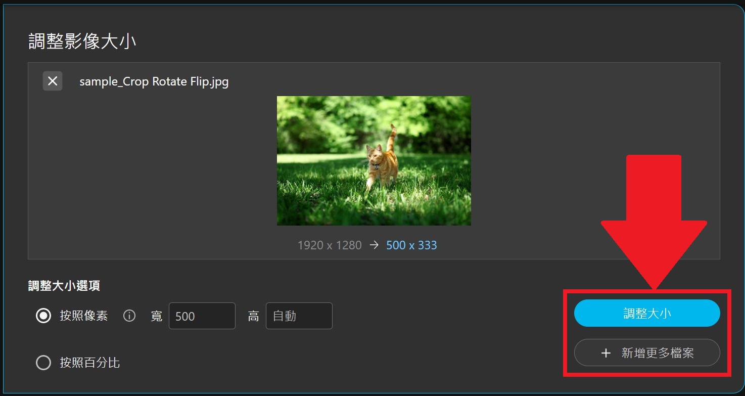 MyEdit 照片尺寸調整 介面